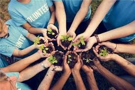 الجمعيات الأهلية والعمل التطوعي: ركيزة أساسية لخدمة المجتمع والتنمية المستدامة